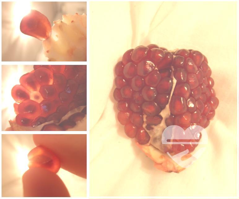 Seeds, flowers and a heart made with a pomegranate.